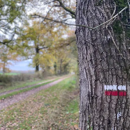 Domaine La Bouliniere - Le Faisan * Journet